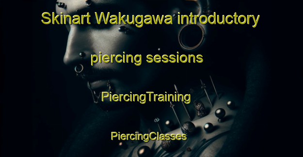 Skinart Wakugawa introductory piercing sessions | PiercingTraining | PiercingClasses | SkinartTraining-Japan