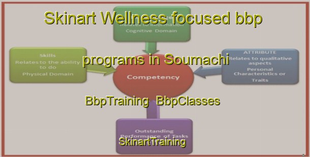 Skinart Wellness-focused bbp programs in Soumachi | BbpTraining | BbpClasses | SkinartTraining-Japan