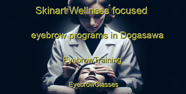 Skinart Wellness-focused eyebrow programs in Dogasawa | EyebrowTraining | EyebrowClasses | SkinartTraining-Japan