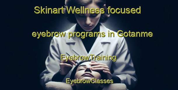 Skinart Wellness-focused eyebrow programs in Gotanme | EyebrowTraining | EyebrowClasses | SkinartTraining-Japan