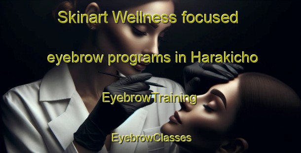 Skinart Wellness-focused eyebrow programs in Harakicho | EyebrowTraining | EyebrowClasses | SkinartTraining-Japan