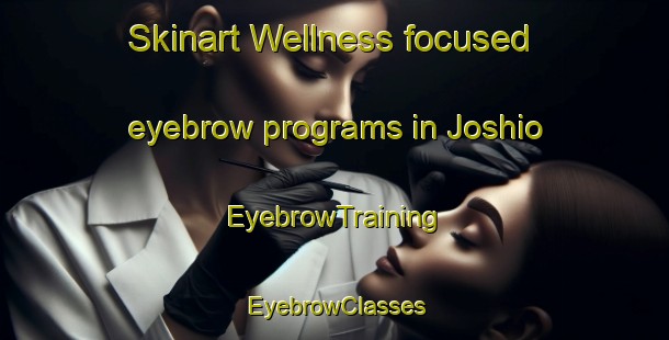 Skinart Wellness-focused eyebrow programs in Joshio | EyebrowTraining | EyebrowClasses | SkinartTraining-Japan