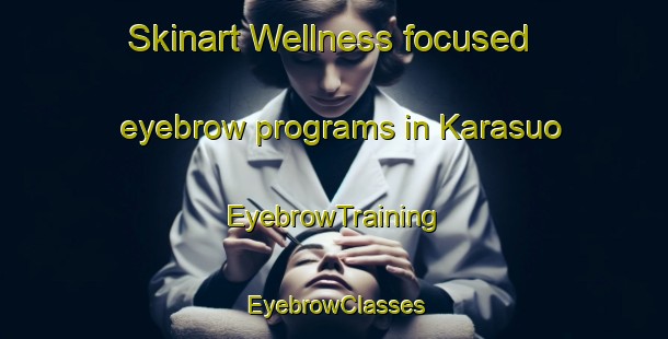Skinart Wellness-focused eyebrow programs in Karasuo | EyebrowTraining | EyebrowClasses | SkinartTraining-Japan