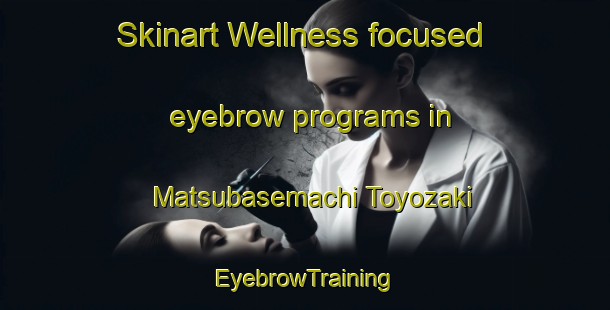 Skinart Wellness-focused eyebrow programs in Matsubasemachi Toyozaki | EyebrowTraining | EyebrowClasses | SkinartTraining-Japan