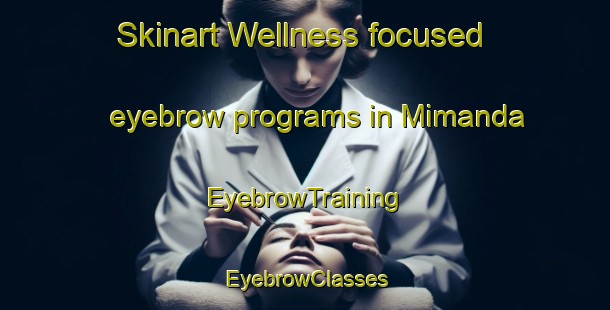 Skinart Wellness-focused eyebrow programs in Mimanda | EyebrowTraining | EyebrowClasses | SkinartTraining-Japan