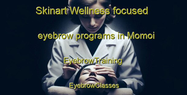 Skinart Wellness-focused eyebrow programs in Momoi | EyebrowTraining | EyebrowClasses | SkinartTraining-Japan