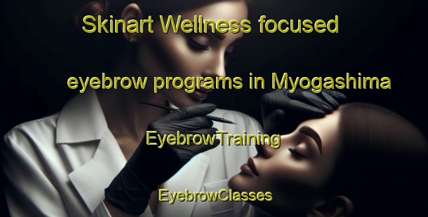 Skinart Wellness-focused eyebrow programs in Myogashima | EyebrowTraining | EyebrowClasses | SkinartTraining-Japan