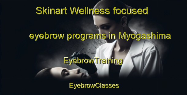 Skinart Wellness-focused eyebrow programs in Myogashima | EyebrowTraining | EyebrowClasses | SkinartTraining-Japan