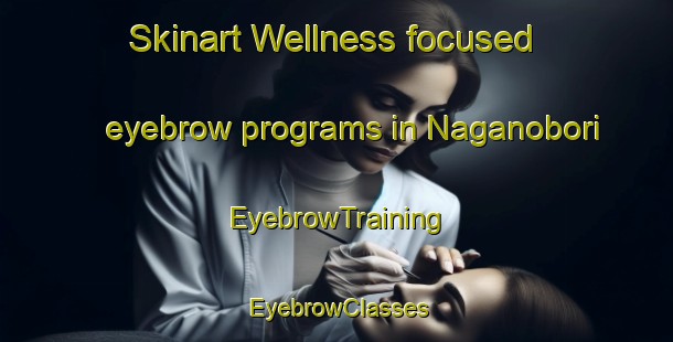 Skinart Wellness-focused eyebrow programs in Naganobori | EyebrowTraining | EyebrowClasses | SkinartTraining-Japan