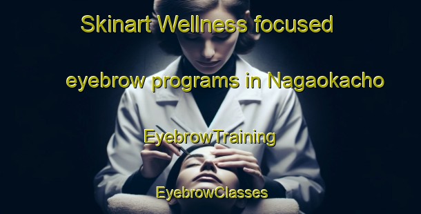Skinart Wellness-focused eyebrow programs in Nagaokacho | EyebrowTraining | EyebrowClasses | SkinartTraining-Japan