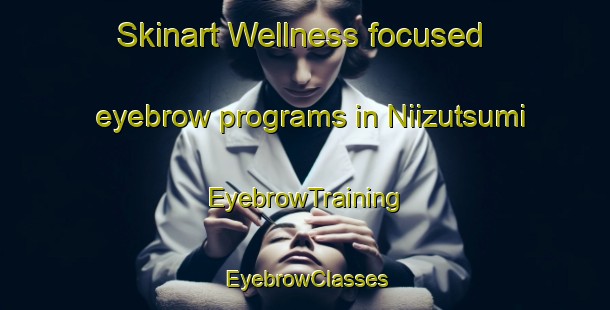 Skinart Wellness-focused eyebrow programs in Niizutsumi | EyebrowTraining | EyebrowClasses | SkinartTraining-Japan