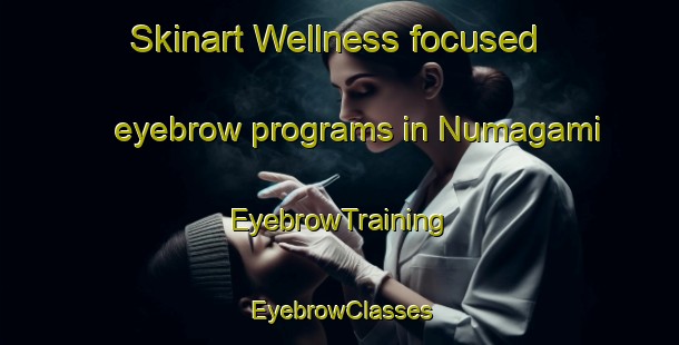 Skinart Wellness-focused eyebrow programs in Numagami | EyebrowTraining | EyebrowClasses | SkinartTraining-Japan