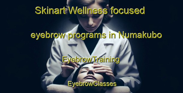 Skinart Wellness-focused eyebrow programs in Numakubo | EyebrowTraining | EyebrowClasses | SkinartTraining-Japan