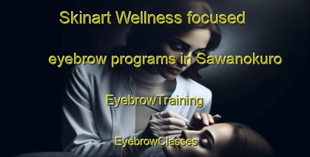 Skinart Wellness-focused eyebrow programs in Sawanokuro | EyebrowTraining | EyebrowClasses | SkinartTraining-Japan