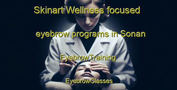 Skinart Wellness-focused eyebrow programs in Sonan | EyebrowTraining | EyebrowClasses | SkinartTraining-Japan