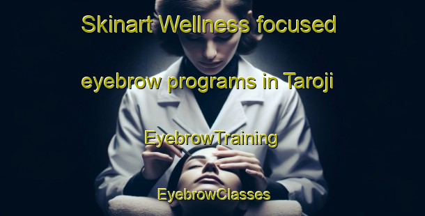 Skinart Wellness-focused eyebrow programs in Taroji | EyebrowTraining | EyebrowClasses | SkinartTraining-Japan