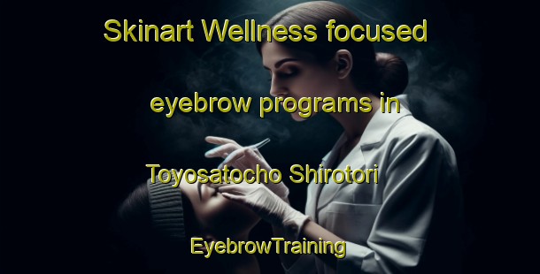 Skinart Wellness-focused eyebrow programs in Toyosatocho Shirotori | EyebrowTraining | EyebrowClasses | SkinartTraining-Japan