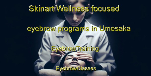 Skinart Wellness-focused eyebrow programs in Umesaka | EyebrowTraining | EyebrowClasses | SkinartTraining-Japan