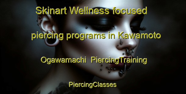 Skinart Wellness-focused piercing programs in Kawamoto Ogawamachi | #PiercingTraining #PiercingClasses #SkinartTraining-Japan