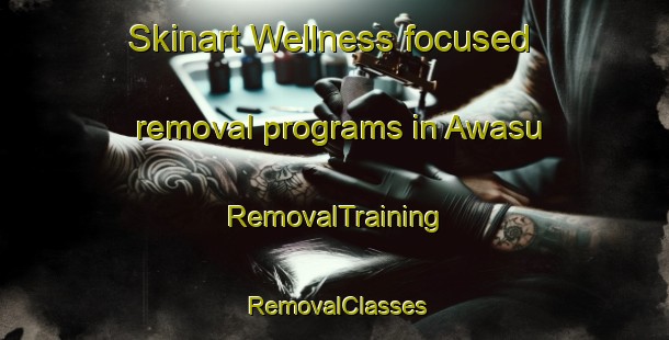 Skinart Wellness-focused removal programs in Awasu | RemovalTraining | RemovalClasses | SkinartTraining-Japan