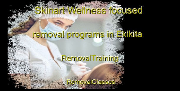 Skinart Wellness-focused removal programs in Ekikita | RemovalTraining | RemovalClasses | SkinartTraining-Japan