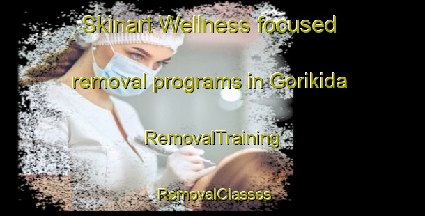 Skinart Wellness-focused removal programs in Gorikida | RemovalTraining | RemovalClasses | SkinartTraining-Japan