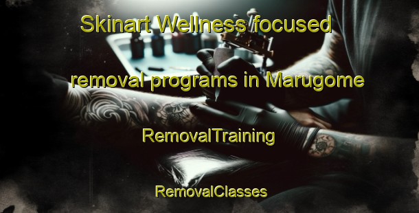 Skinart Wellness-focused removal programs in Marugome | RemovalTraining | RemovalClasses | SkinartTraining-Japan