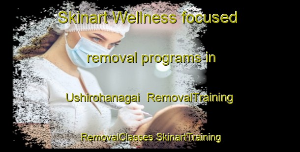 Skinart Wellness-focused removal programs in Ushirohanagai | #RemovalTraining #RemovalClasses #SkinartTraining-Japan