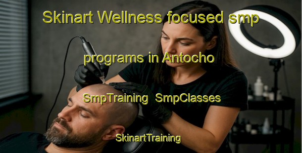 Skinart Wellness-focused smp programs in Antocho | SmpTraining | SmpClasses | SkinartTraining-Japan