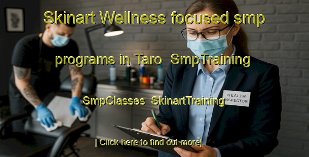 Skinart Wellness-focused smp programs in Taro | SmpTraining | SmpClasses | SkinartTraining-Japan