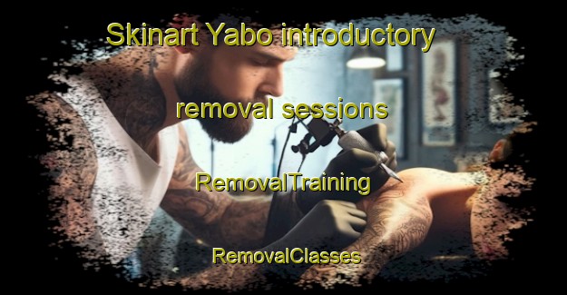 Skinart Yabo introductory removal sessions | RemovalTraining | RemovalClasses | SkinartTraining-Japan