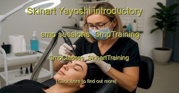 Skinart Yayoshi introductory smp sessions | SmpTraining | SmpClasses | SkinartTraining-Japan