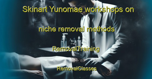 Skinart Yunomae workshops on niche removal methods | RemovalTraining | RemovalClasses | SkinartTraining-Japan